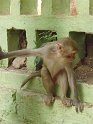 Myanmar 256